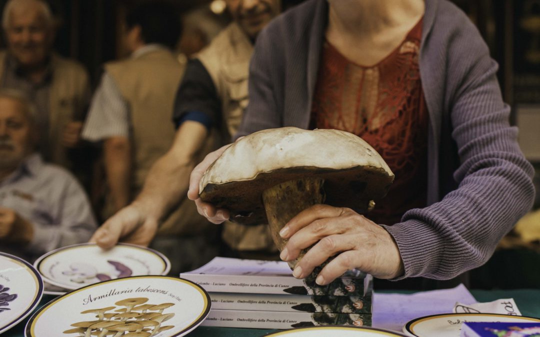 62° Mostra nazionale del fungo