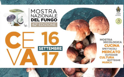 Aperture di settembre